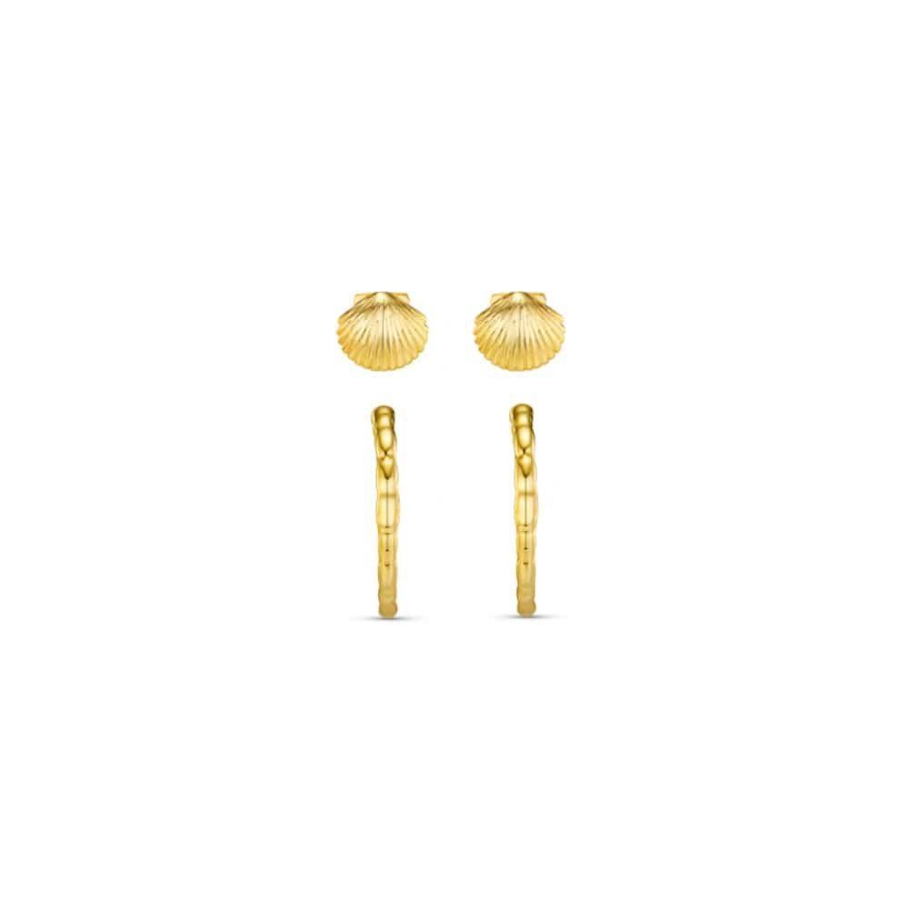 Shell & Molten Mid-Size Hoop Ear Stacking Set