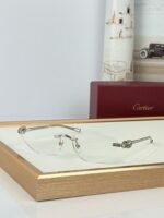 Cartier CT0649S sunglasses
