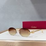 Cartier CT0648S sunglasses