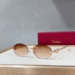 Cartier CT0648S sunglasses