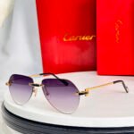 Cartier CT0629S sunglasses