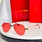 Cartier CT0629S sunglasses