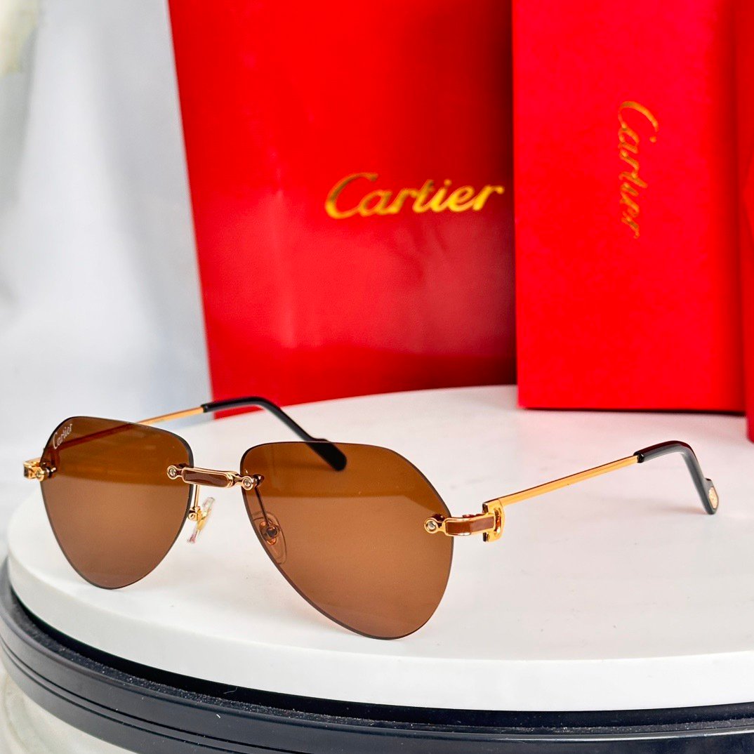 IMG_5684 Cartier CT0629S sunglasses - Image 1