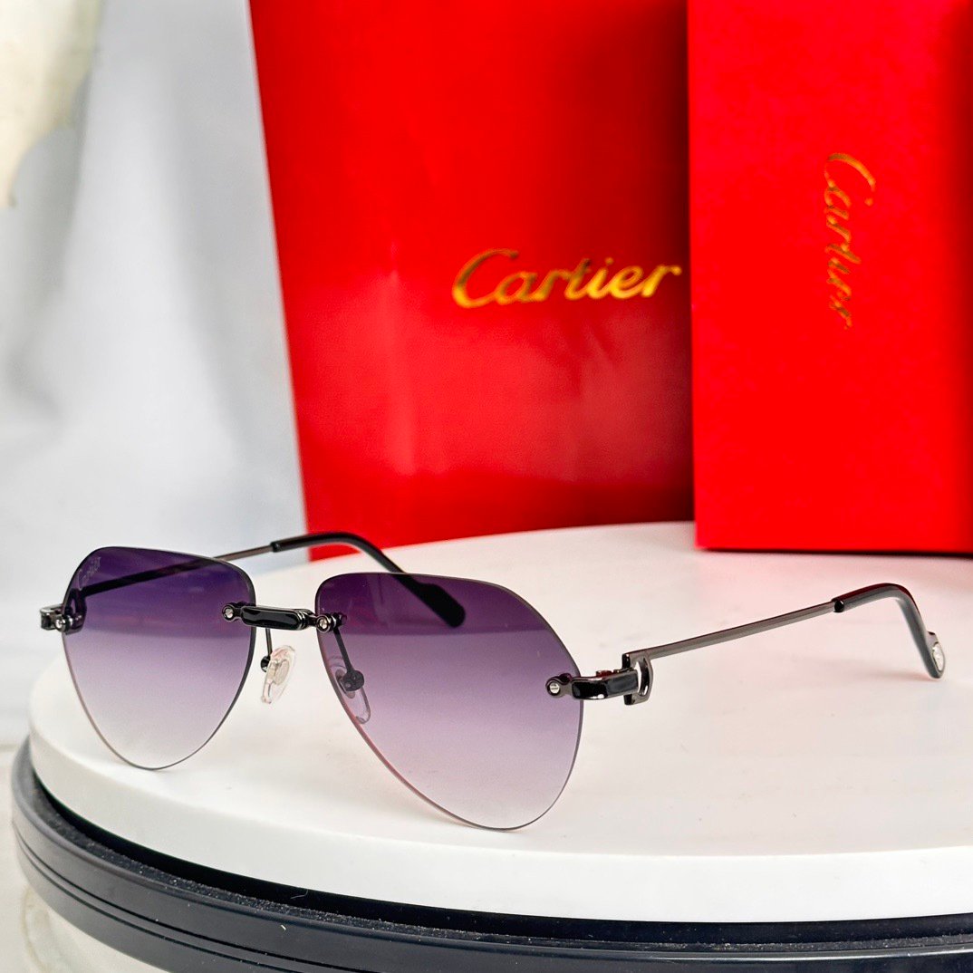 Cartier CT0629S sunglasses