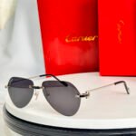 Cartier CT0629S sunglasses