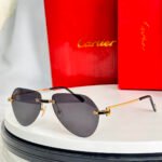 Cartier CT0629S sunglasses