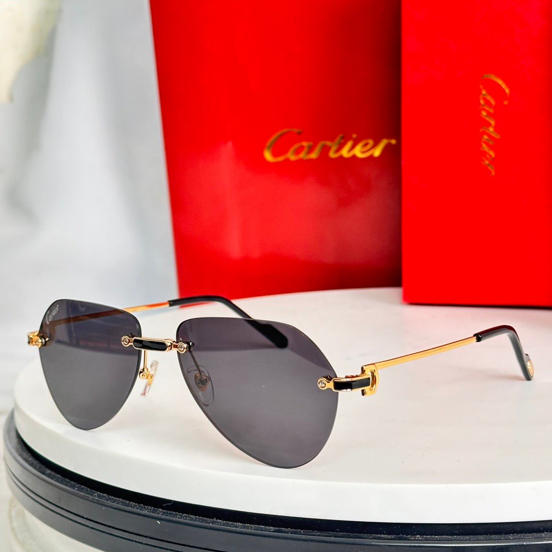 IMG_5689 Cartier CT0629S sunglasses - Image 1