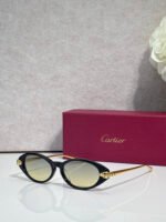 Cartier CT0634S sunglasses