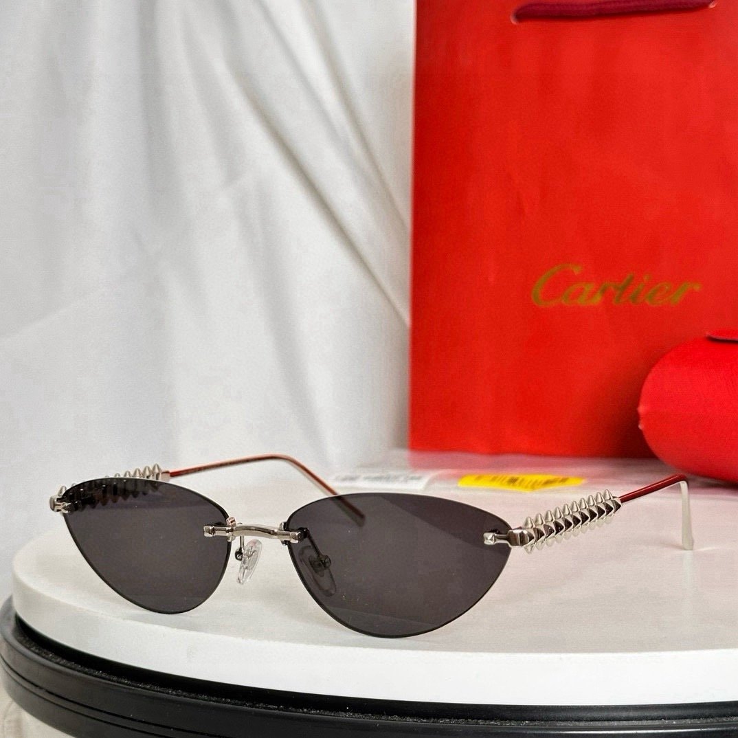 IMG_5743 Cartier CT0543S sunglasses - Image 1