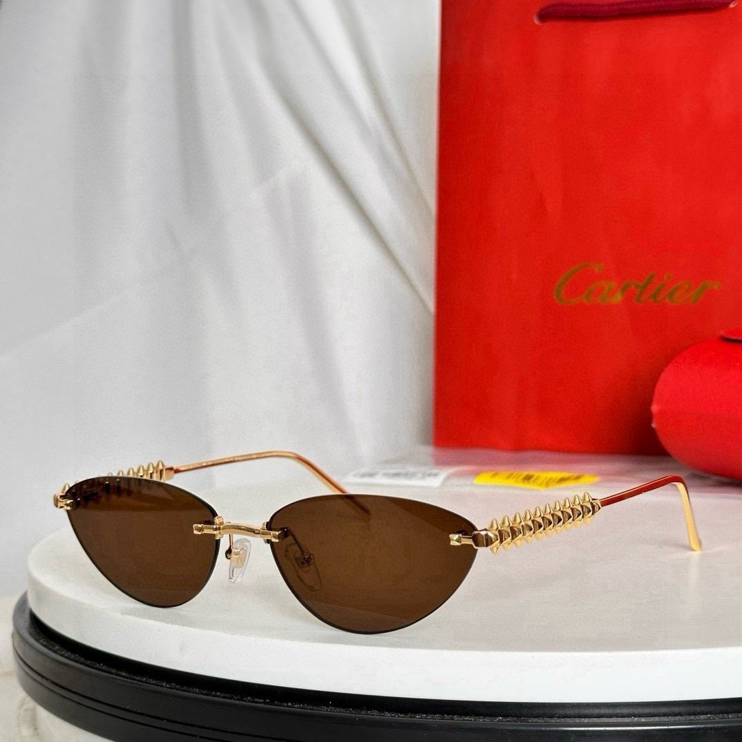 IMG_5745 Cartier CT0543S sunglasses - Image 1