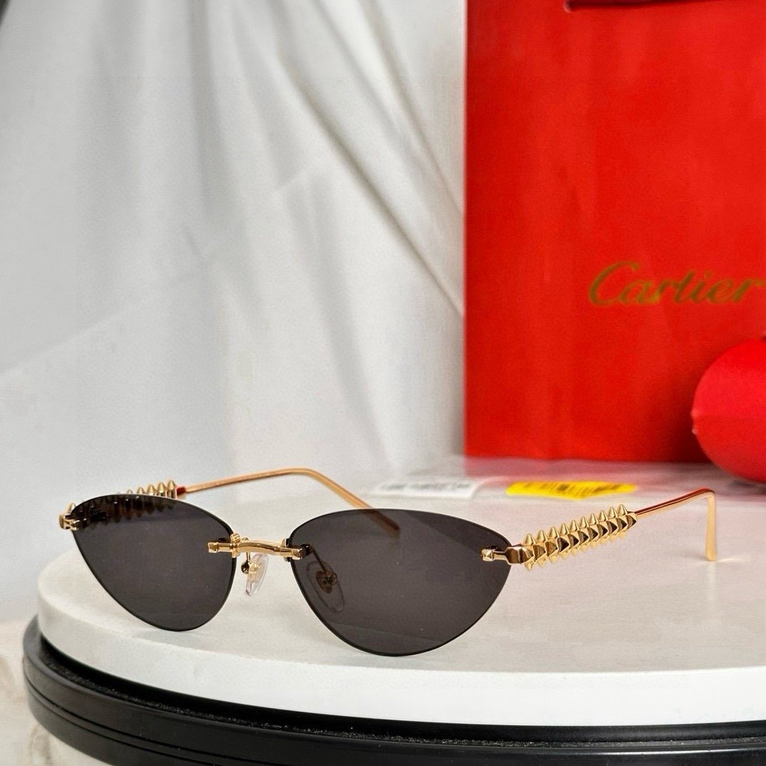 IMG_5746 Cartier CT0543S sunglasses - Image 1