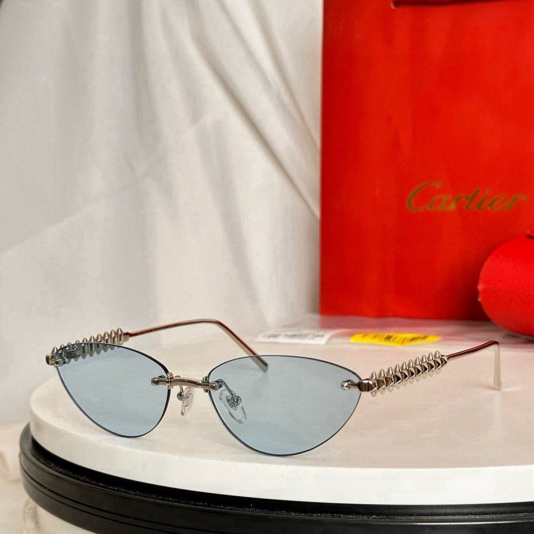 IMG_5747 Cartier CT0543S sunglasses - Image 1