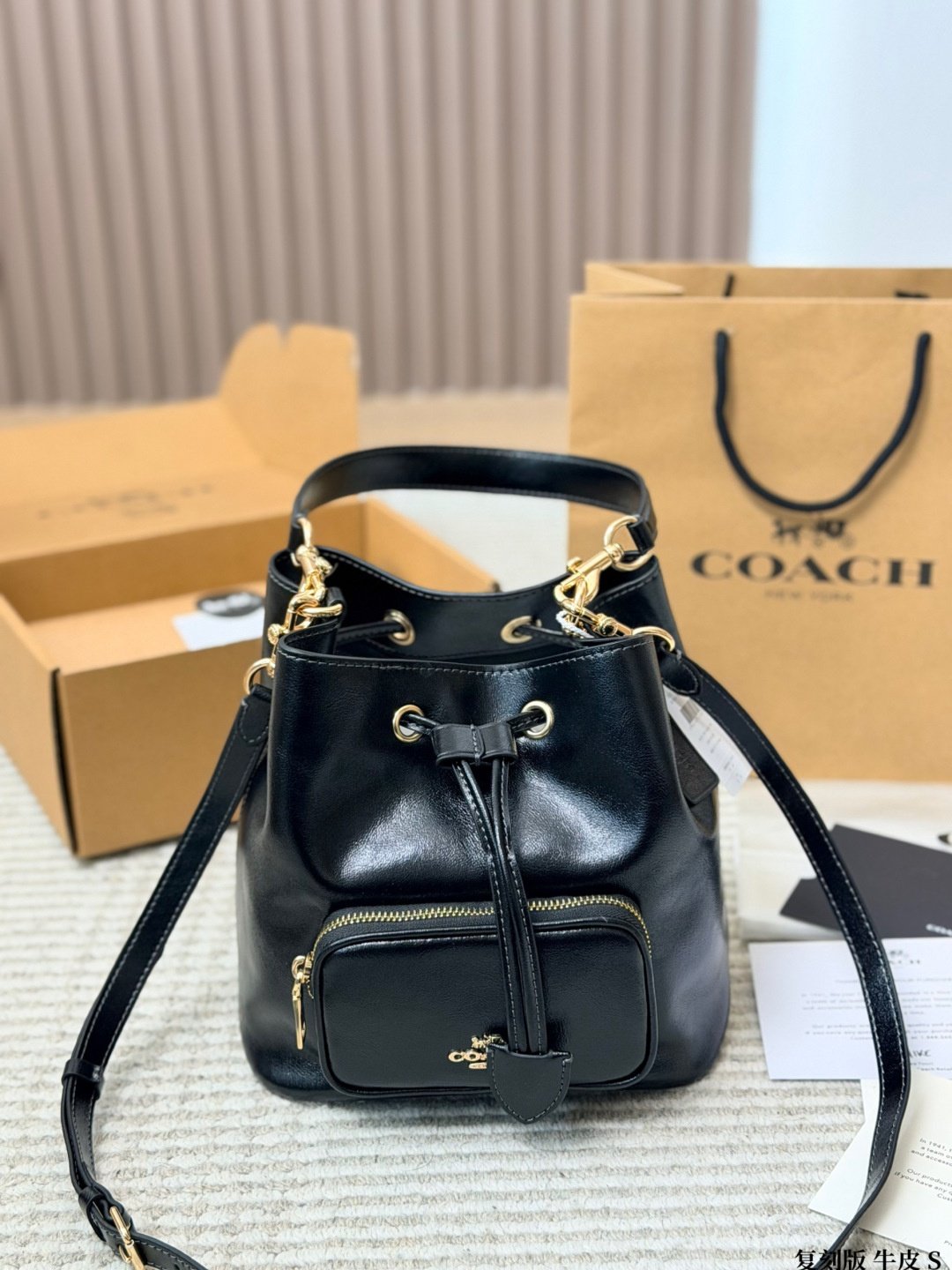 PS226-1 COACH PS226