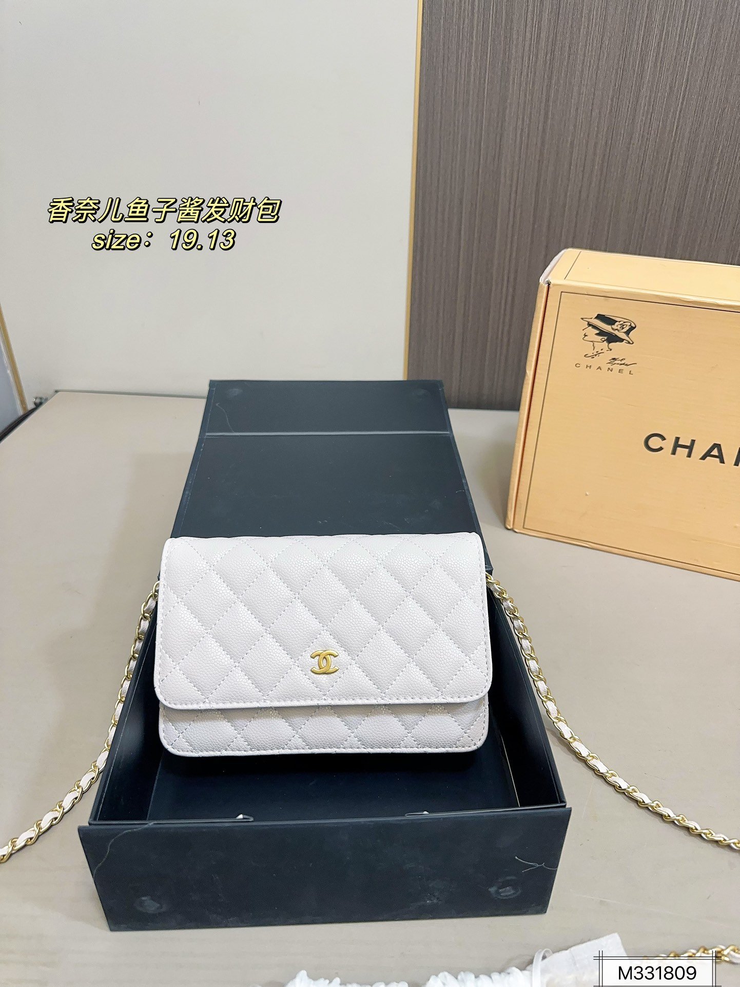 PS2295 תיק צד CHANEL - Image 1