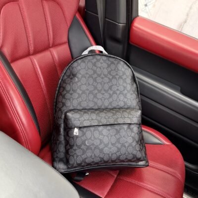 COACH PS3730
