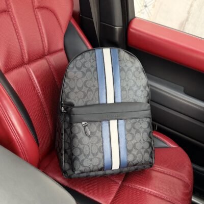 COACH PS3774